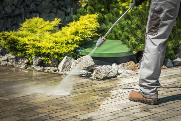 Port Isabel, TX Pressure Washing Pros