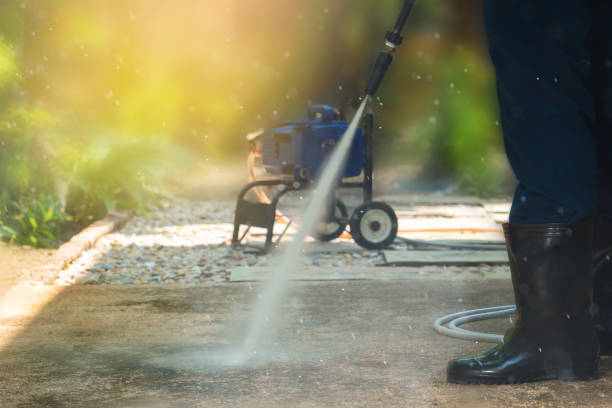 Best Animal Enclosure Cleaning  in Port Isabel, TX